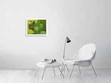 Carica l'immagine nel visualizzatore di Gallery, 356029-418663