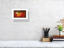 Load image into Gallery viewer, 3849280-914217